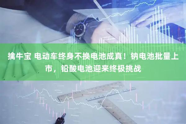 擒牛宝 电动车终身不换电池成真！钠电池批量上市，铅酸电池迎来终极挑战