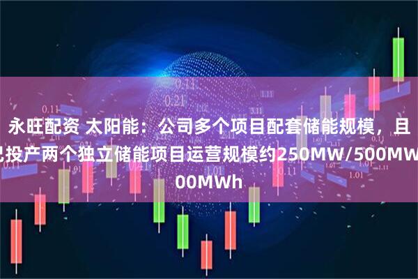永旺配资 太阳能：公司多个项目配套储能规模，且已投产两个独立储能项目运营规模约250MW/500MWh
