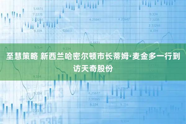 至慧策略 新西兰哈密尔顿市长蒂姆·麦金多一行到访天奇股份