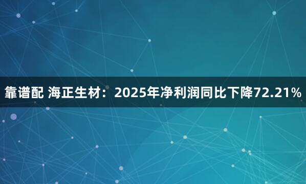 靠谱配 海正生材：2025年净利润同比下降72.21%