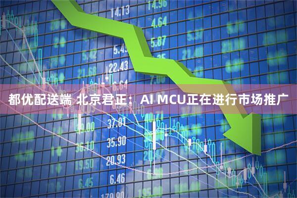 都优配送端 北京君正：AI MCU正在进行市场推广