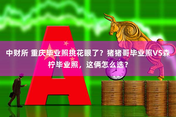中财所 重庆毕业照挑花眼了？猪猪哥毕业照VS森柠毕业照，这俩怎么选？