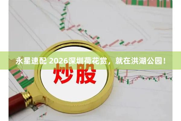 永星速配 2026深圳荷花赏,就在洪湖公园!